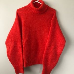 Aritzia Turtle Neck
